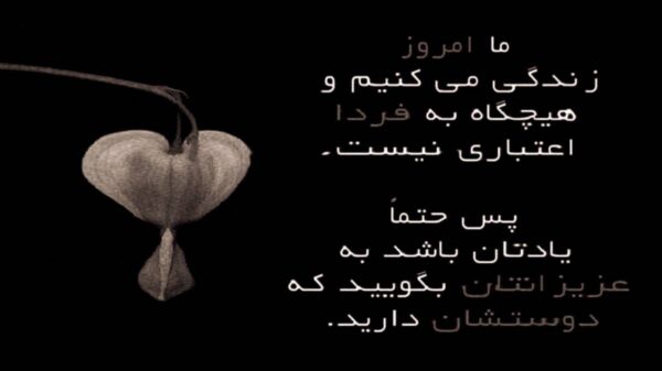  بی معرفت تر از پاییزی مگه نگفتی
